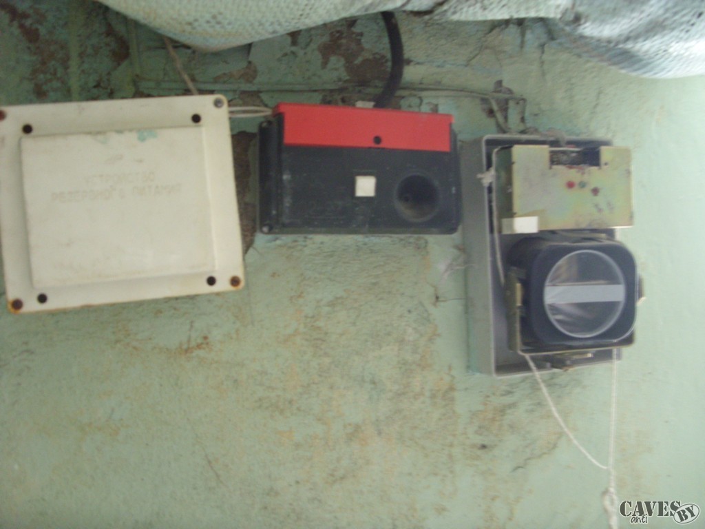 SDC11961