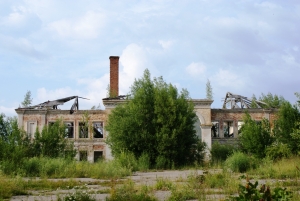 200-я военная школа поваров и автобатальон пос. Ветрино Фото 9