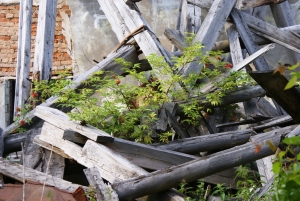 200-я военная школа поваров и автобатальон пос. Ветрино Фото 17