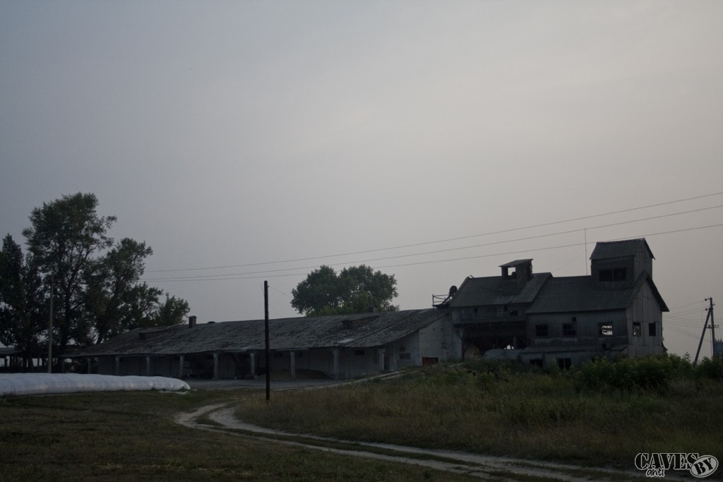 IMG 7179