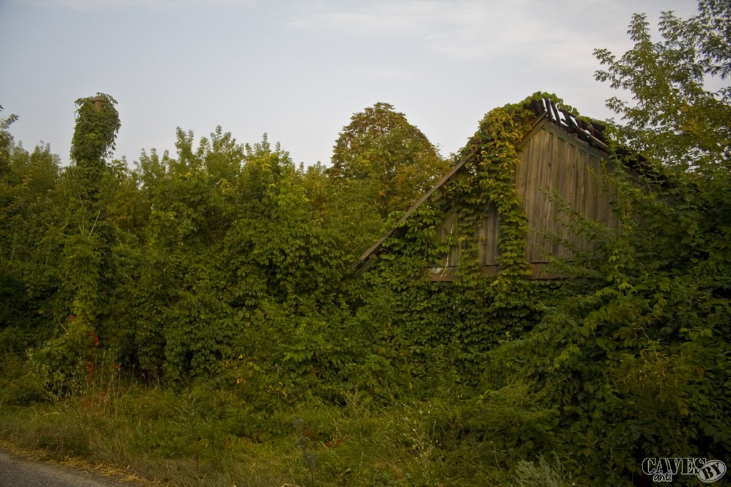 IMG 7193