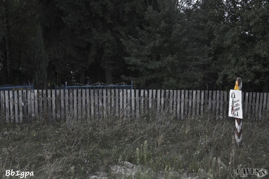 IMG 7213
