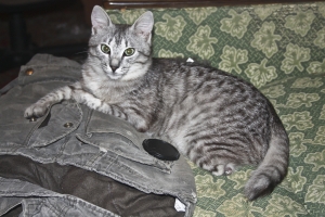 IMG 0031