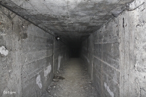 IMG 9808