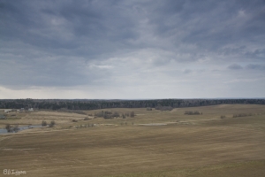 IMG 0084