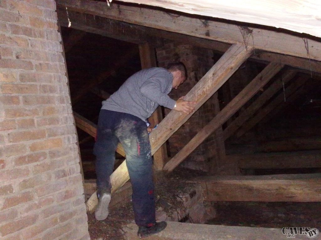 250920111135