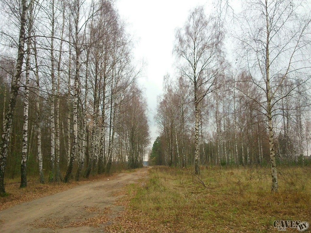 DSC 0114