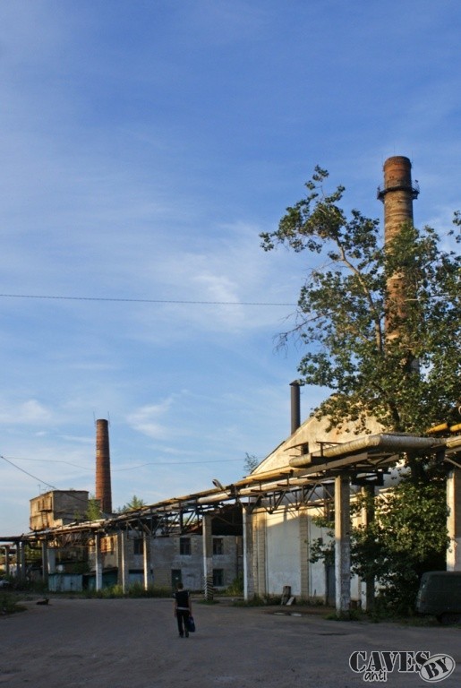  DSC09965 