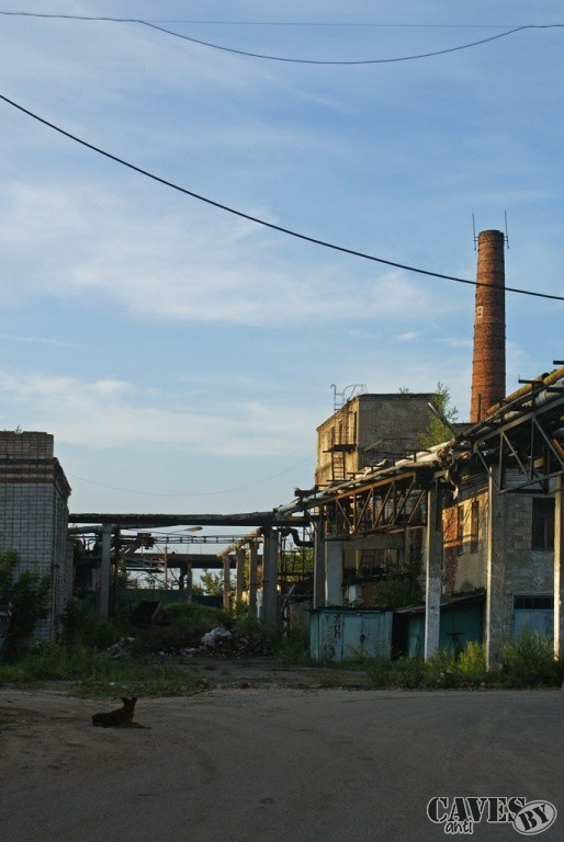 DSC09967 