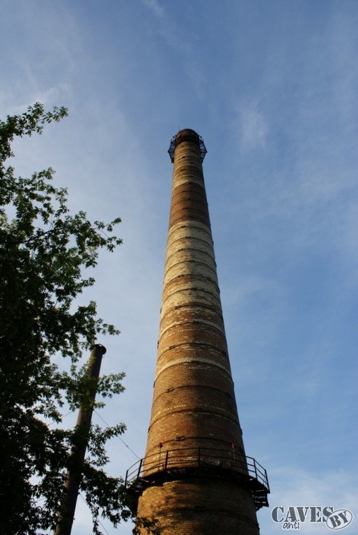  DSC09982 