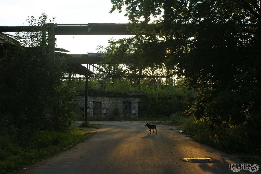  DSC09983 