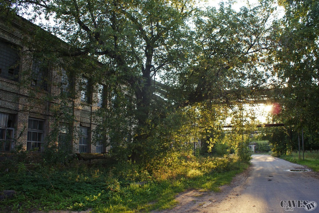  DSC09985 