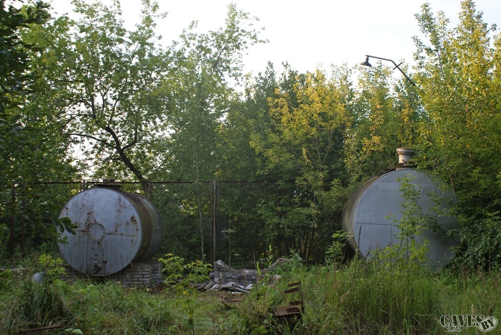  DSC09994 