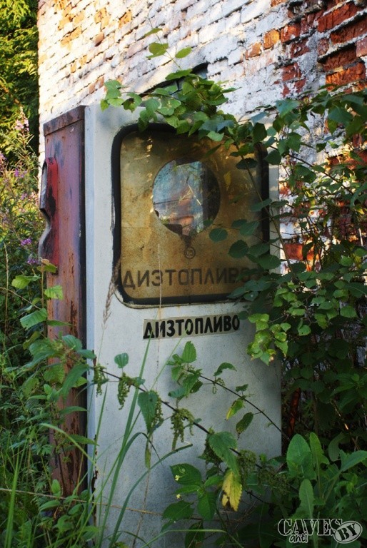  DSC09996 