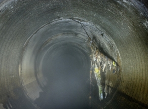 Аранский коллектор 11