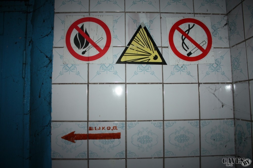 IMG 6590
