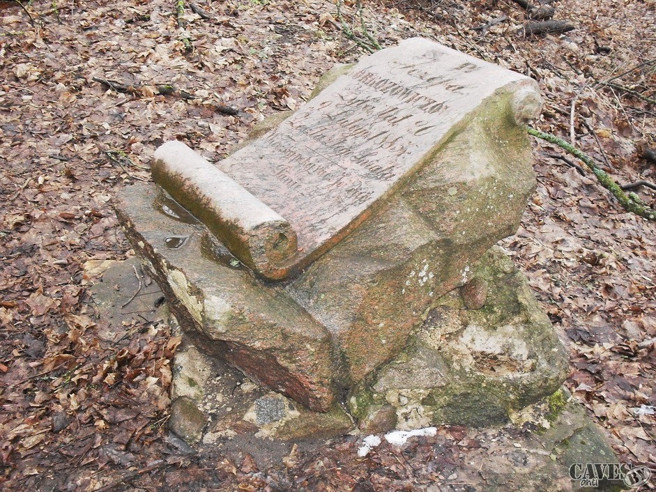SDC12547