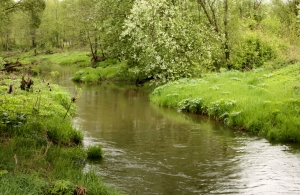 Каменное-Кривое, водяная мельница 1