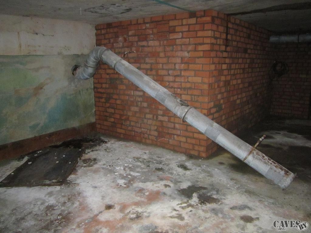 IMG 2577