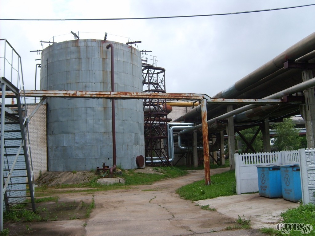 S5000011