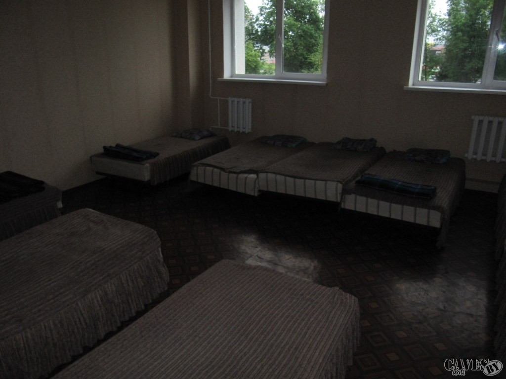 IMG 7982