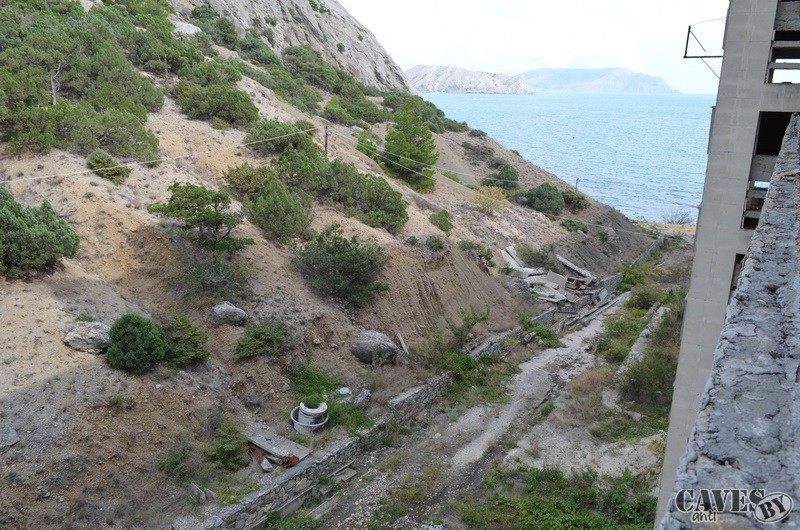DSC 1137