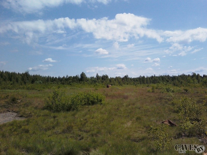 IMG050-01