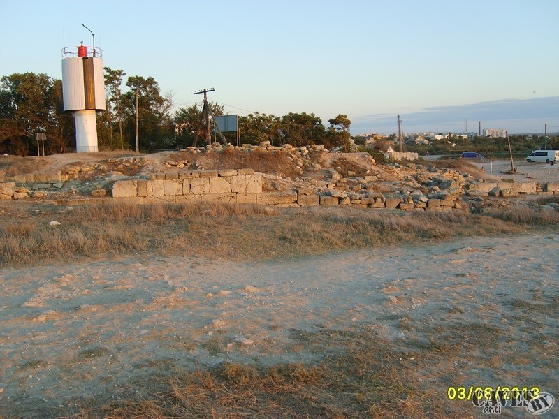 S6004655