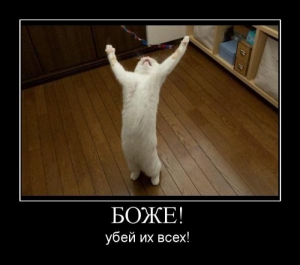 user6 pic2532 1251576493