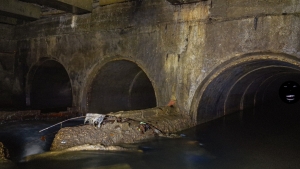 Типичная камера Переспы