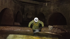 Типичная камера Переспы