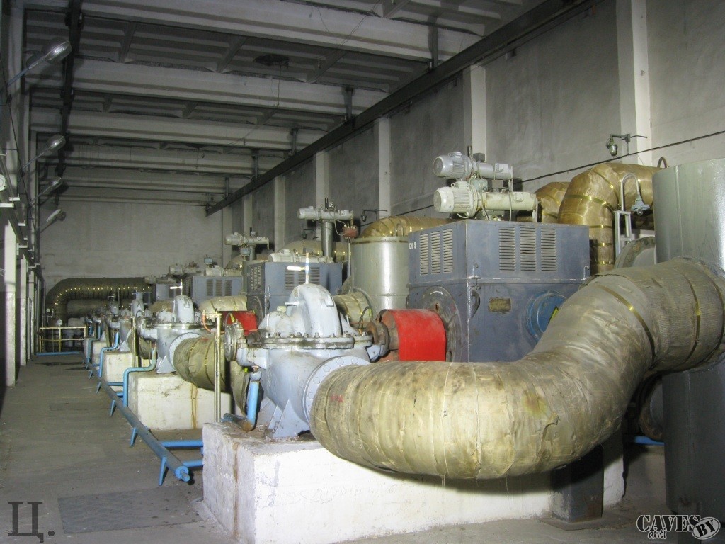 pns11