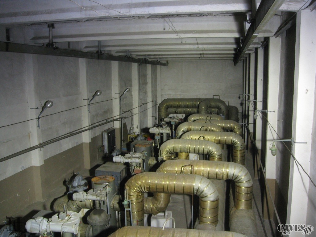 pns12