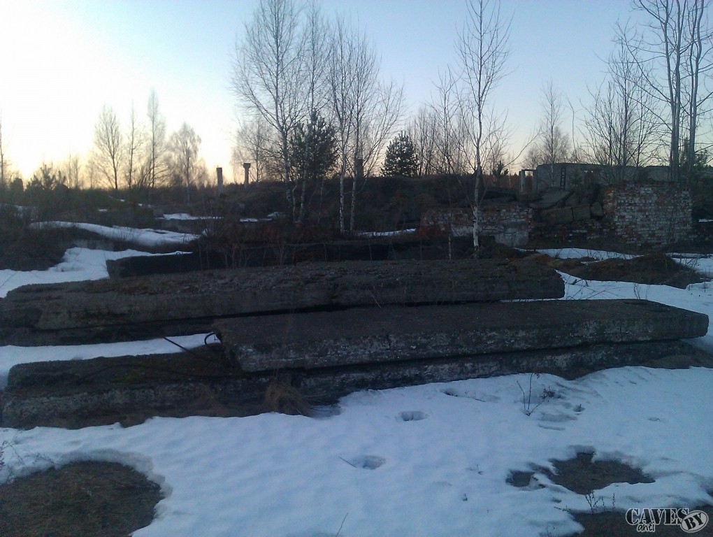 IMAG0085