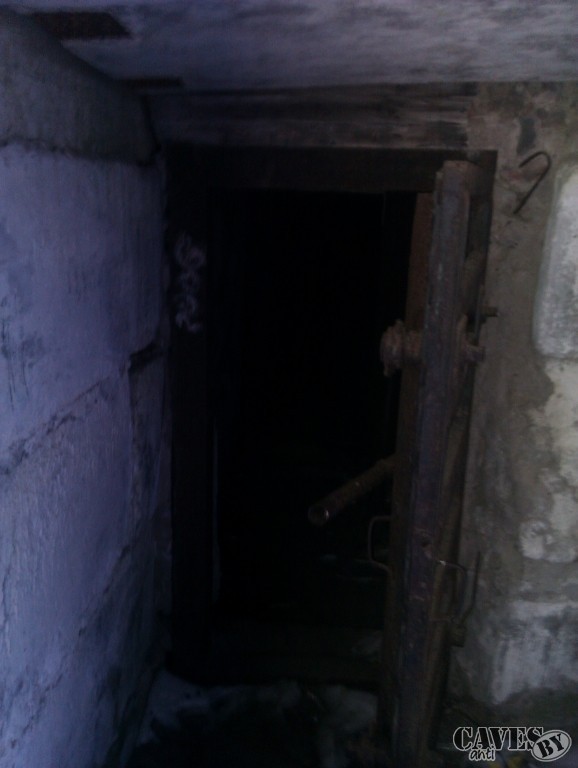 IMAG0113