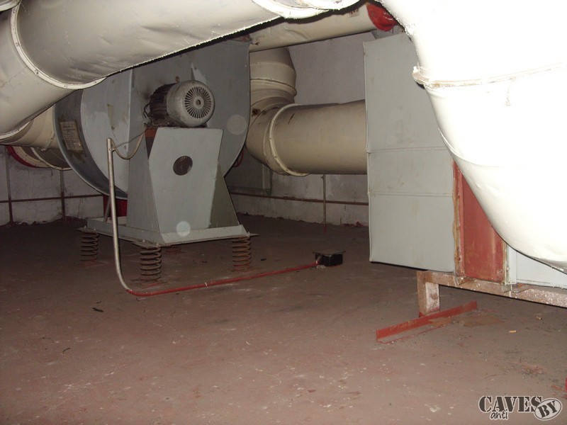 SDC12980