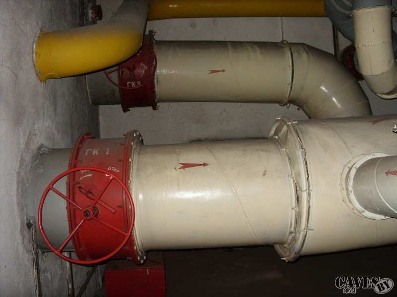 SDC12981