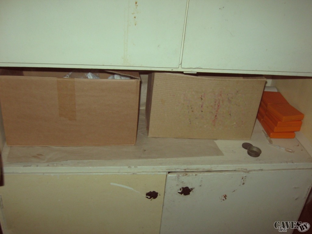 IMG 0019 (2)