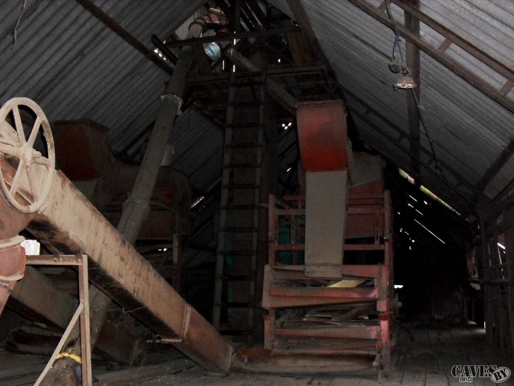 SDC12584