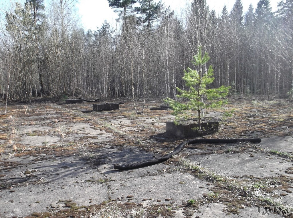 DSCF9853