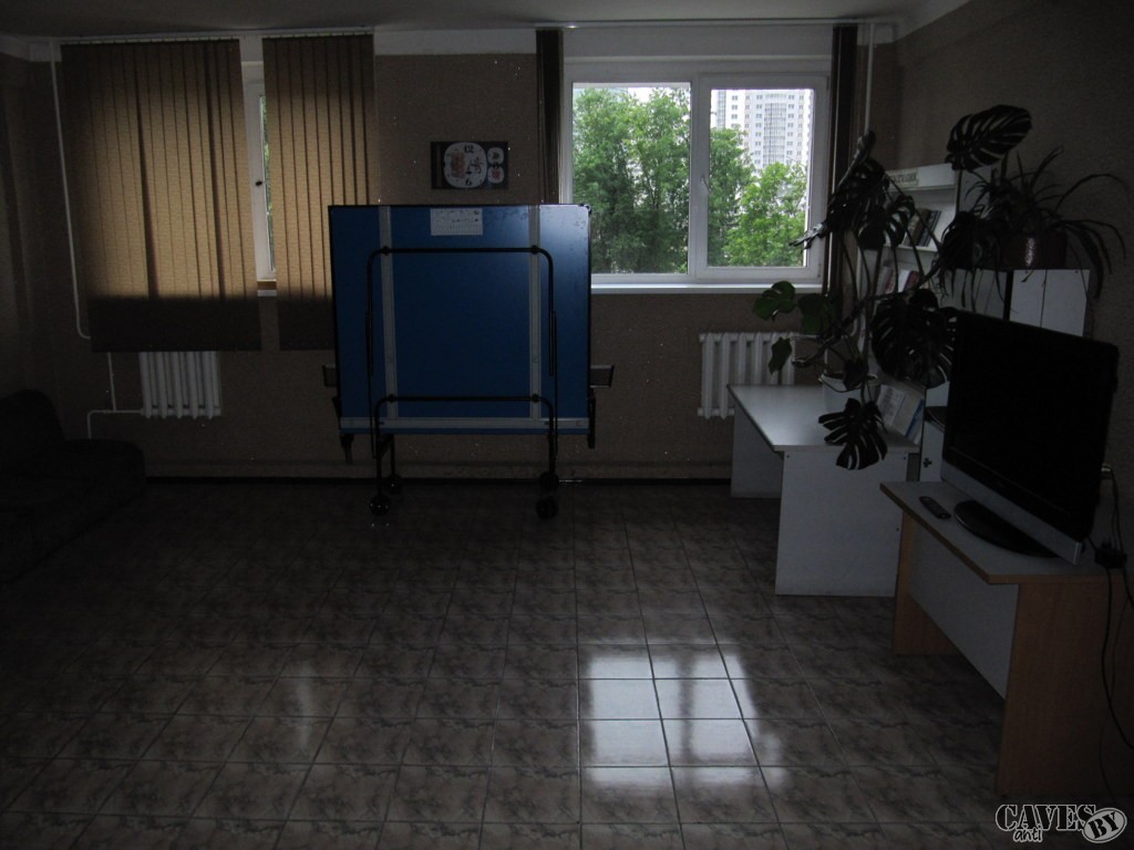 IMG 7979