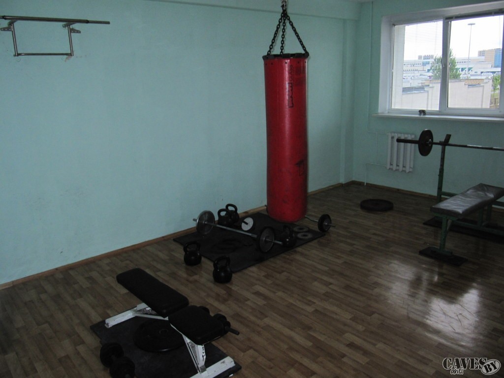 IMG 7981