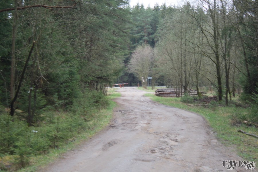 IMG 0081
