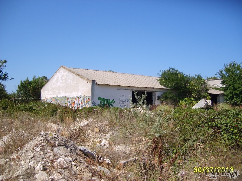 S6004568